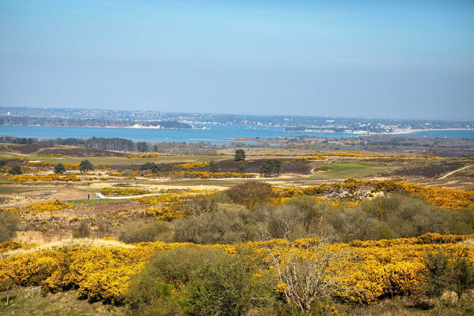 PooleHarbour